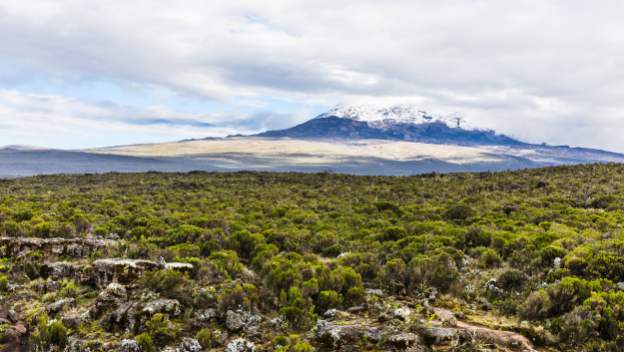 lemosho-route-mount-kilimanjaro-tanzania-africa-mountain-view