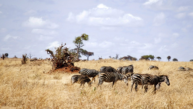 arusha-national-park