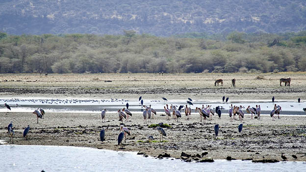 lake-manyara-national-park