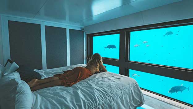 reefworld-great-barrier-reef-whitsundays-looking-out-window-to-fish