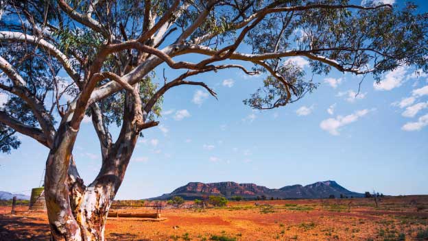 flinders-ranges-landscape-south-australia