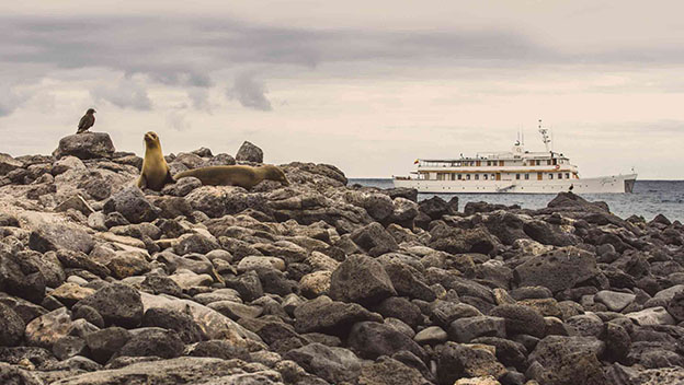 galapagos-island-luxury-cruise-mv-grace