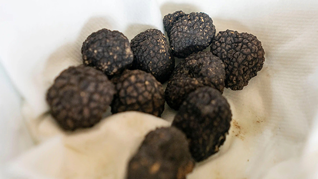 truffles-shutterstock2073122105