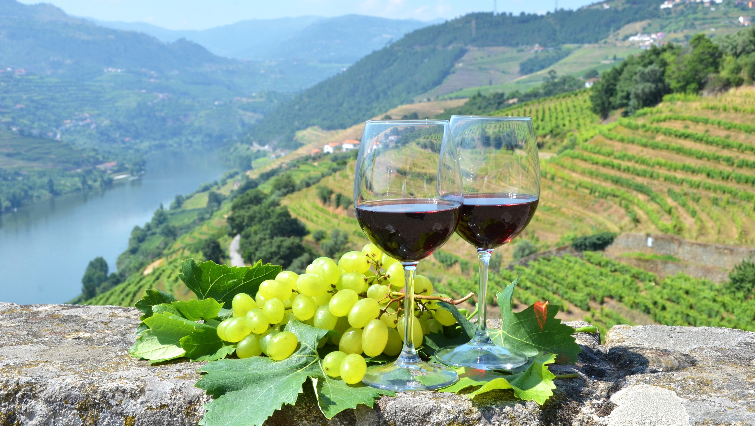 wine-tasting-douro-valley-portugal