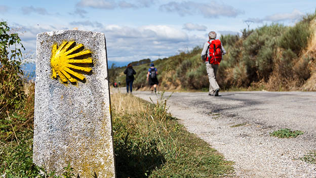 camino-de-santiago-path-signage