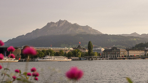 lucerne