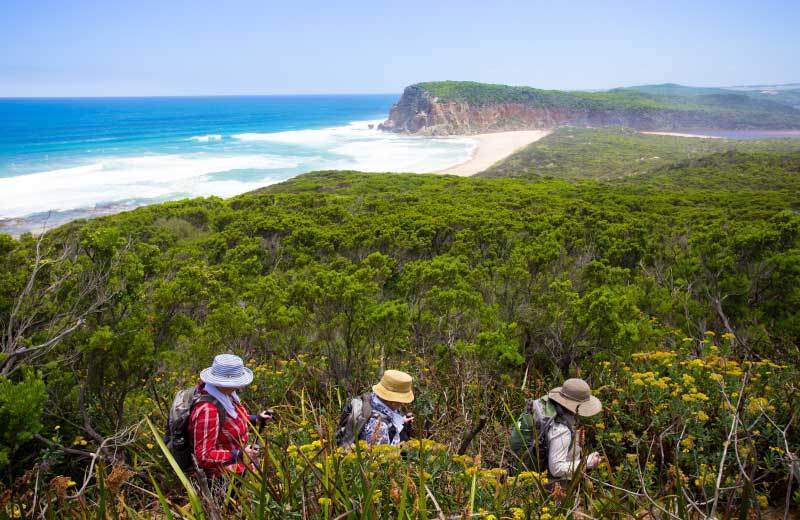 great-ocean-walk-12-apostle-walk-great-ocean-road