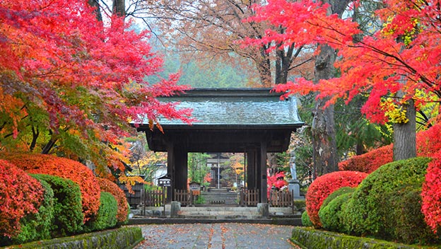 autumn-japan