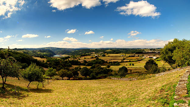 camino-frances