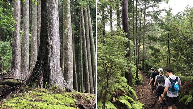 chikatsuyu-oji-to-kumano-hongu-taisha-nakahechi-route-wakayama-japan