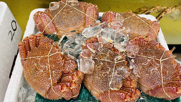 crab-market-in-hokkaido