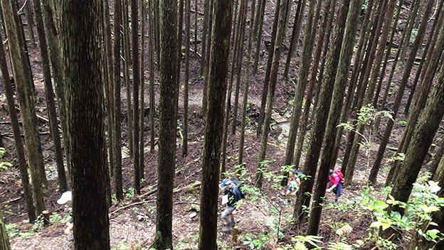 hikers-kumano-kodo-hiking-trail-wakayama-japan