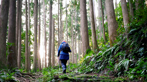 kumano-kodo-hiking