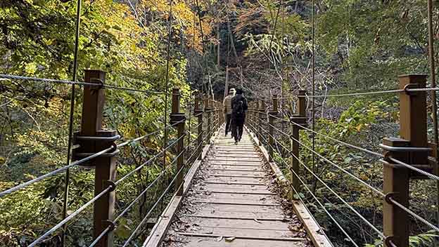 mt-takao-trail-wooden-bridge