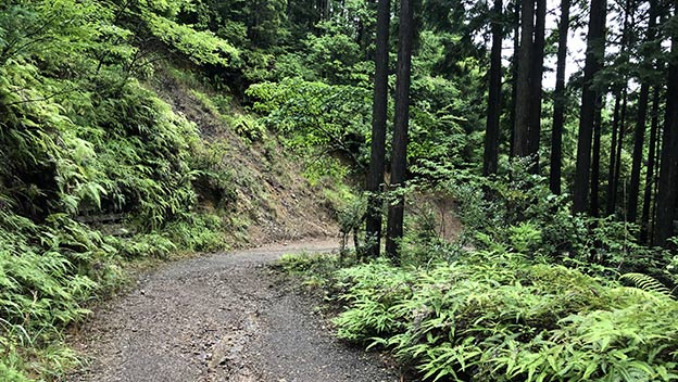 nakahechi-route-chikatsuyu-oji-to-kumano-hongu-taisha-wakayama-japan