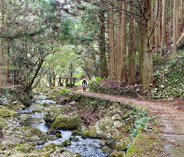 shikoku-henro-pilgrimage-walk-japan