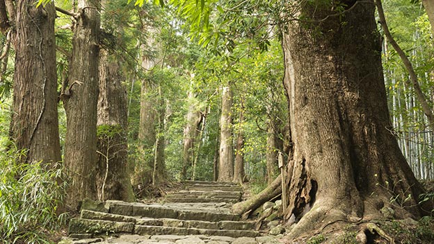 stone-steps-daimonzaka-nachi-nakahechi-route-wakayama-japan-shutterstock556039846