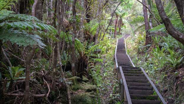 Great Walks of New Zealand - New Zealand Best Walks - Best Hikes New ...