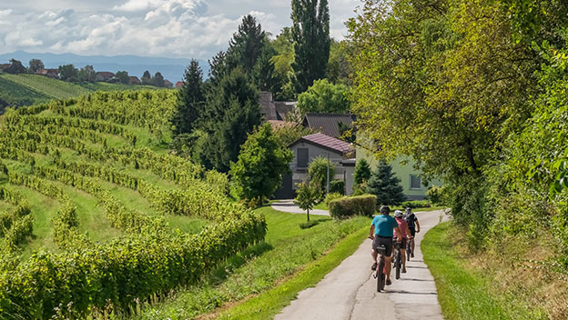vineyards-jeruzalem-ljutomer-ormoz-hills-styria-slovenia