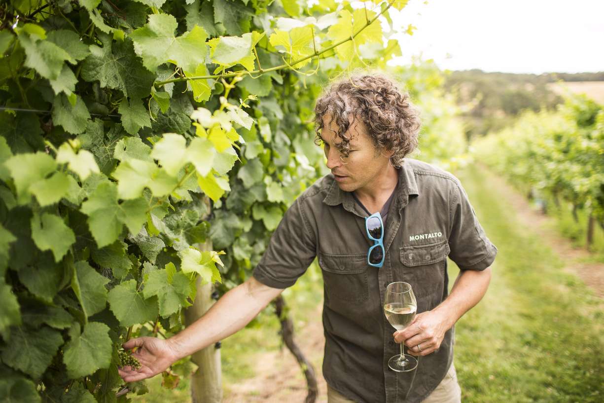 Meet The Winemakers - Australia Gourmet Travel - Australia Winery ...