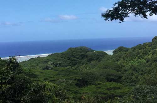 Takitumu-conservation-walk-cook-islands