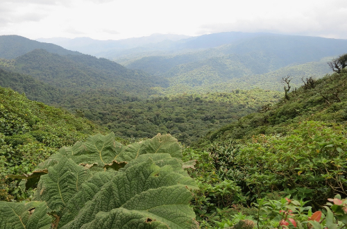 coiba-national-park-rainforest-panama-islands-cruise