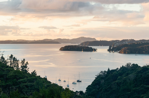 The-Sanctuary-Bay-of-Islands-sunset