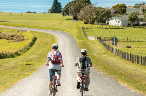 Twin-Coast-Cycle-Trail-new-zealand