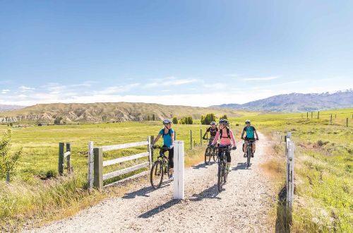 Otago-Central-Rail-Trail-Cycling-Guided-group