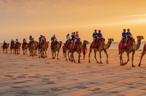 sunset-camel-ride-along-cable-beach