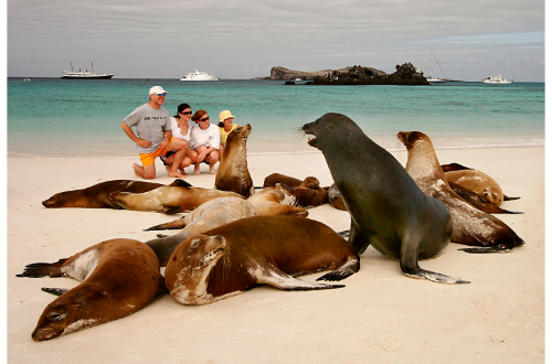 galapagos-islands--luxury-cruise-family-posing-sea-lions-beach