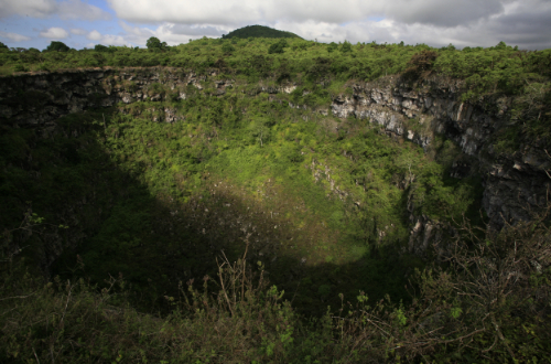 los-gemelos-galapagos-islands-the-twins-sinkhole-forest-highlands-view