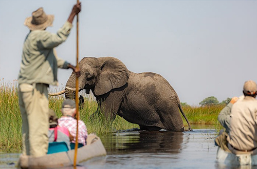 namibia-zimbabwe-south-africa-canoe-safari-elephant