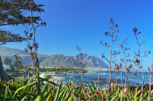 Garden-Route-Drive-Hermanus-South-Africa