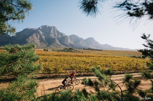 cape-winelands-south-africa-sip-and-cycle-wine-tasting