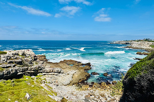 hermanus-western-cape-south-africa