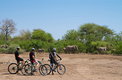 mashatu-main-camp-mashatu-game-reserve-botswana-biking-safari