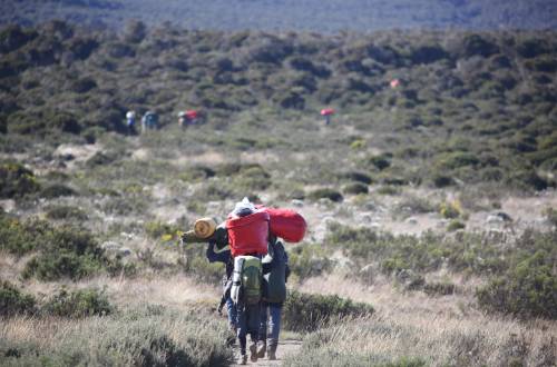 mount-kilimanjaro-tanzania-africa-hiking-porters