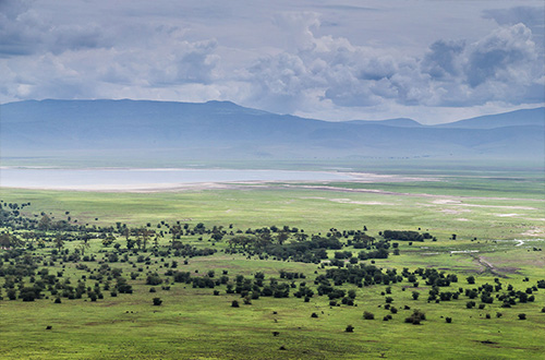 gibbs-farm-karatu-tanzania-ngorongoro-crater