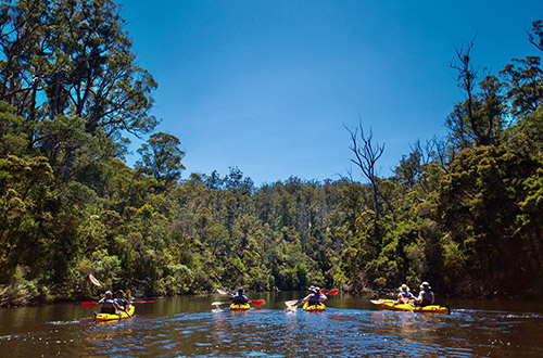 ansons-river-tasmania-australia-kayaking