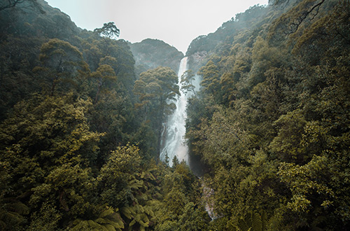 montezuma-falls-west-coast-tasmania-australia