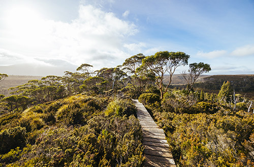 overland-track-lake-st-clair-national-park-tasmania-australia