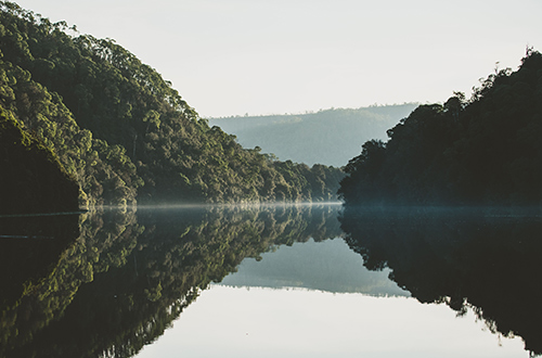 pieman-river-west-coast-tasmania-australia