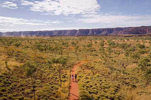 the-bungle-bungle-range-purnululu-national-park-aerial