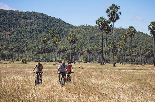 aqua-mekong-discovery-cruise-biking-excursion-bikers-fields