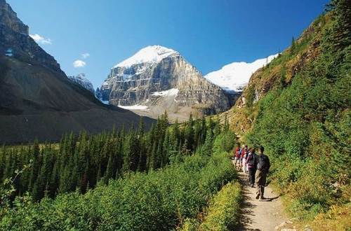 canadian-rockies-group-hikers-banff-national-park-canada