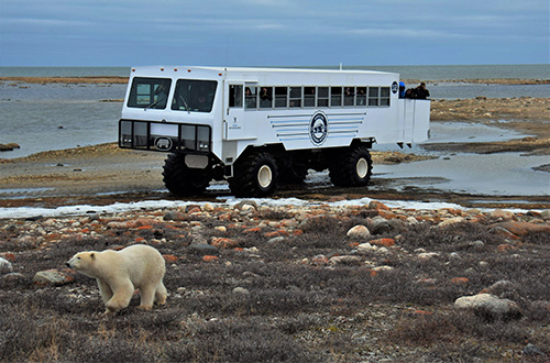 churchill-manitoba-canada-tundra-buggy-vehicle