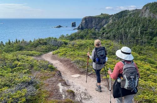 Newfoundland-walking
