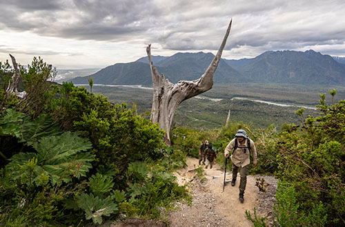 pumalin-park-adventure-hiking