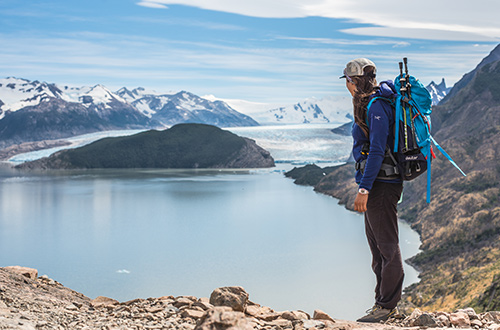 wildlife-safari-in-grey-lakeglacier-torres-del-paine